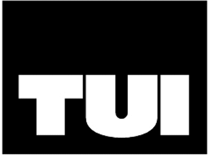 TUI Graphic Logo Decal