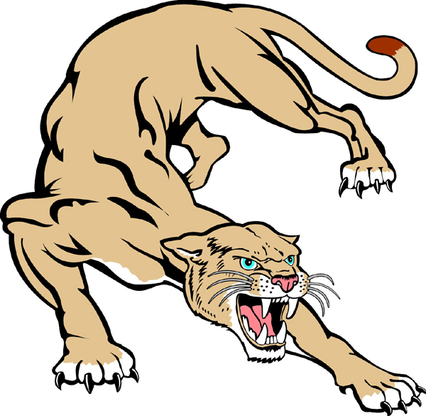 Cougar team mascot color vinyl sports decal. Customize on line. Cougar 1