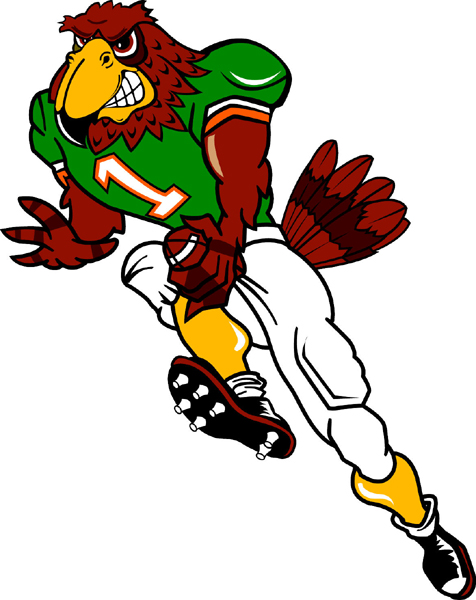Falcon football player team mascot full color vinyl sports sticker. Customize on line. Falcon Football