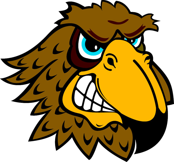 Falcon head team mascot color vinyl sports decal. Get it personal on line. Falcon Head 1