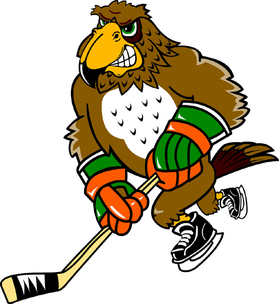 Falcon Hockey mascot sports sticker. Make it personal! 