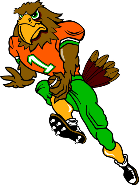 Hawk football player team mascot full color vinyl sports decal. Customize on line. Hawk Football