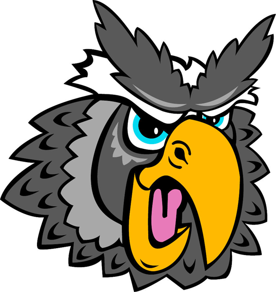 Owl Head mascot team sticker. Make it personal!
