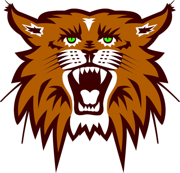 Wildcat team mascot color vinyl sports sticker. Customize on line. Wildcat 1