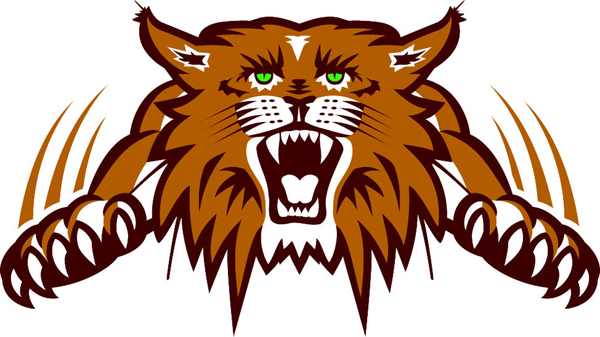 Wildcats team mascot color vinyl sports decal. Personalize as you order. Wildcat 2