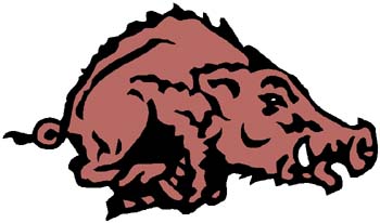 Razorback mascot action sports decal.  Personalize on line. 2c9 razorback decal