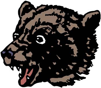 Brown Bear mascot sports decal. Personalize as you order. 2d17 bear head