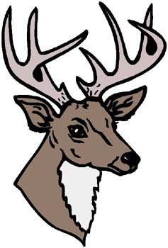 Stag's head mascot sports decal. Personalize on line. 2d20 deer head