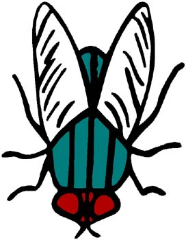 Horse Fly mascot color sports sticker. Customize on line as you order. 2g18 horse fly decal