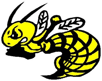Hornet mascot full color sports decal. Personalize on line. 2g3 hornet mascot