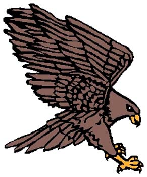 Hawk mascot color sports decal. Personalize on line. 2g7 hawk falcon