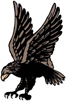Predatory bird mascot color sports decal. Personalize on line. 2h13 eagle falcon hawk decal