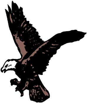 Eagle mascot full color sports decal. Personalize on line. 2h15 hawk falcon vinyl eagle sticker