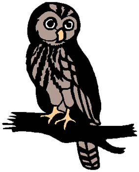 Owl mascot sports decal. Personalize on line. 2h18 owl vinyl decal