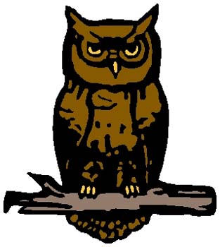 Owl mascot color sports sticker. Personalize as you order.2h19 owl