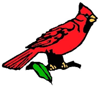Cardinal mascot sports decal. Personalize on line. 2h5 cardinal bird decal