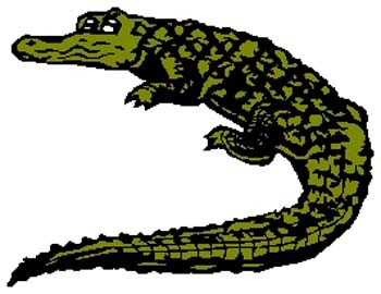 Alligator mascot sports decal. Personalize on line. 2h8 alligator decal