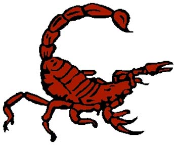 Scorpion mascot color sports decal. Customize on line. 2j1 scorpion vinyl sticker
