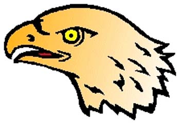 Predatory bird mascot action sports sticker. Personalize as you order. 2j15 bird decal