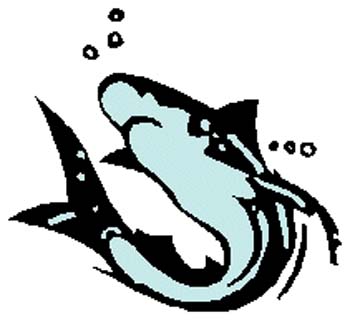Shark mascot sports decal. Personalize on line. 2j3 shark