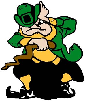 Leprechaun mascot color sports decal. Personalize on line. 2m20 Irishman leprechaun