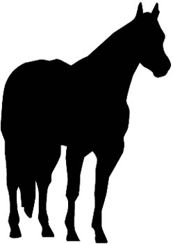 Horse silhouette vinyl decal. Customize on line.  0141_HR-paint