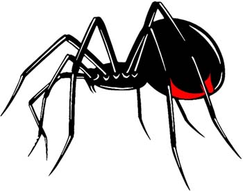 Black widow with red spot vinyl decal. Customized online