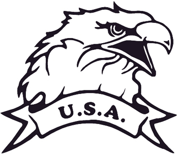 USA  lettering with Eagle head decal Customized Online. 0151