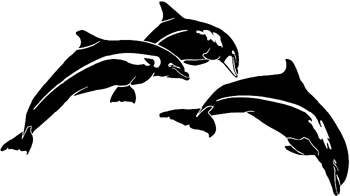 Dolphins Jumping decal Customized Online. 0163