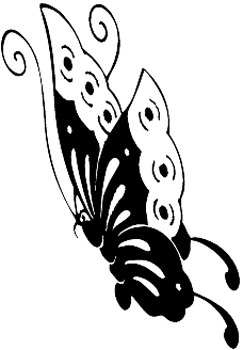 Butterfly Decal Customized Online. 0264