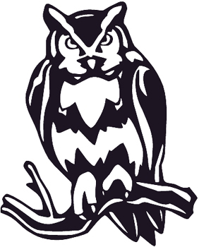 Owl perched on branch vinyl decal. Customized Online. 0383