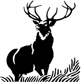 Big 12 Point Buck Silhouette Decal Customized Online. 0512