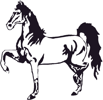 Tennessee Walking Horse  Decal Customized Online. 0532