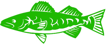 Fish Decal Customized ONLINE. 0678