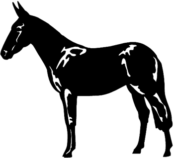 Mule Decal Customized ONLINE. 0706