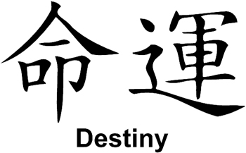 Japanese lettering 'Destiny' Vinyl Decal Customized Online. 0922
