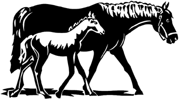 Mare and foal vinyl sticker. Personalize on line. 1001