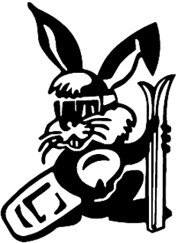 Ski Bunny vinyl sports sticker. Personalize on line. 1296