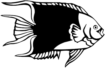 Tropical Fish Vinyl Decal Customized Online. 1353