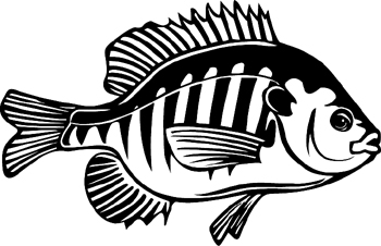 Bluegill fish Decal Customized Online. 1429
