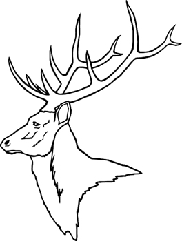 Stag with full rack vinyl Decal Customized Online. 1618