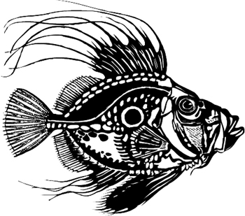 Salt Water Fish vinyl decal customized online. 1644