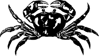 Crab Decal Customized Online. 1645