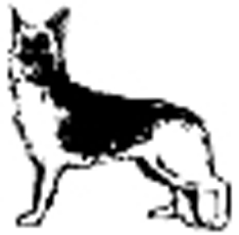 German Shepard dog vinyl decal. Customized Online. 1679