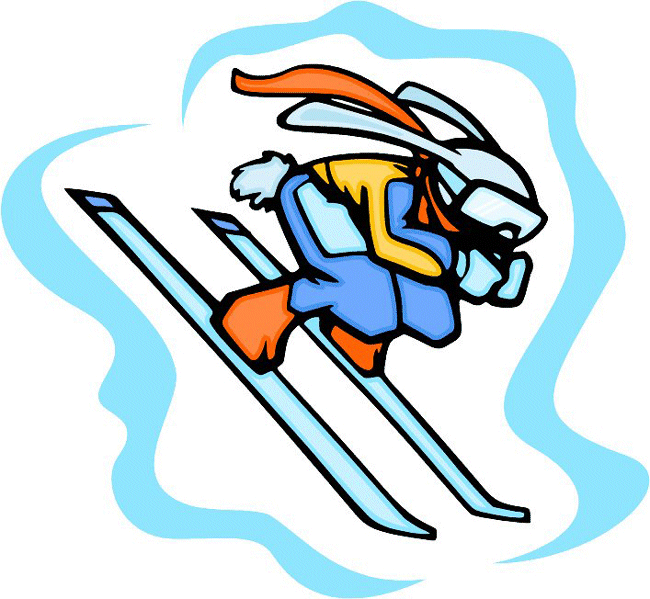 Ski Sports Bunny Decal Sticker Customized Online