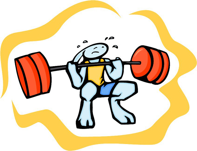 Weight Lifting Sports Bunny Decal Sticker Customized Online