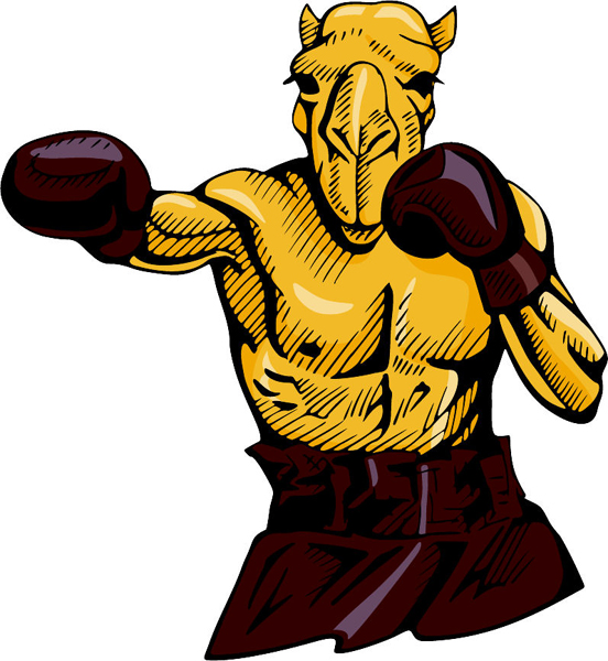 Camel boxing mascot full color sports decal. Personalize on line. MASCOTS_4C_05