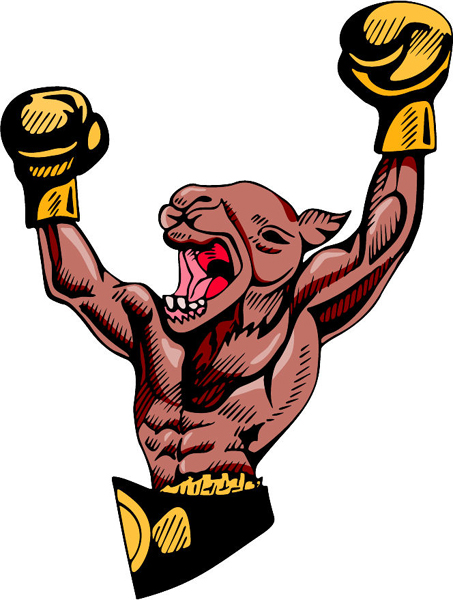 Camel boxing mascot full color action sports decal. personalize on line. MASCOTS_4C_11