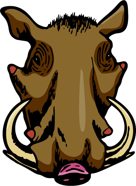 Wild Boar mascot color sports decal. Own it today! MASCOTS_5C_020