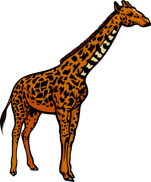 Giraffe mascot full color sports decal. Customize on line. MASCOTS_5C_027